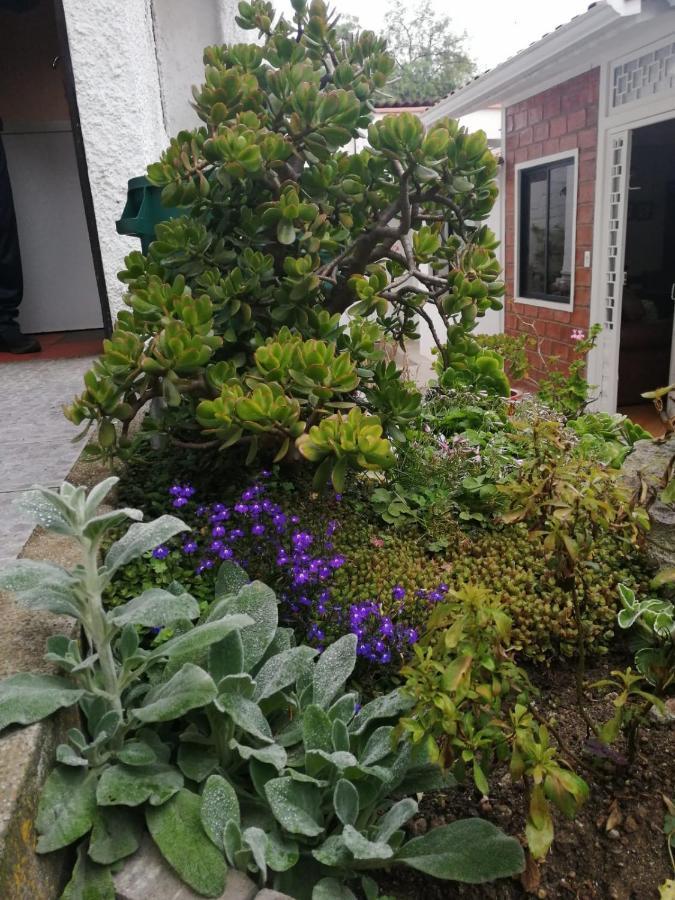 Casatodosantos Bed & Breakfast Cuenca Exterior foto